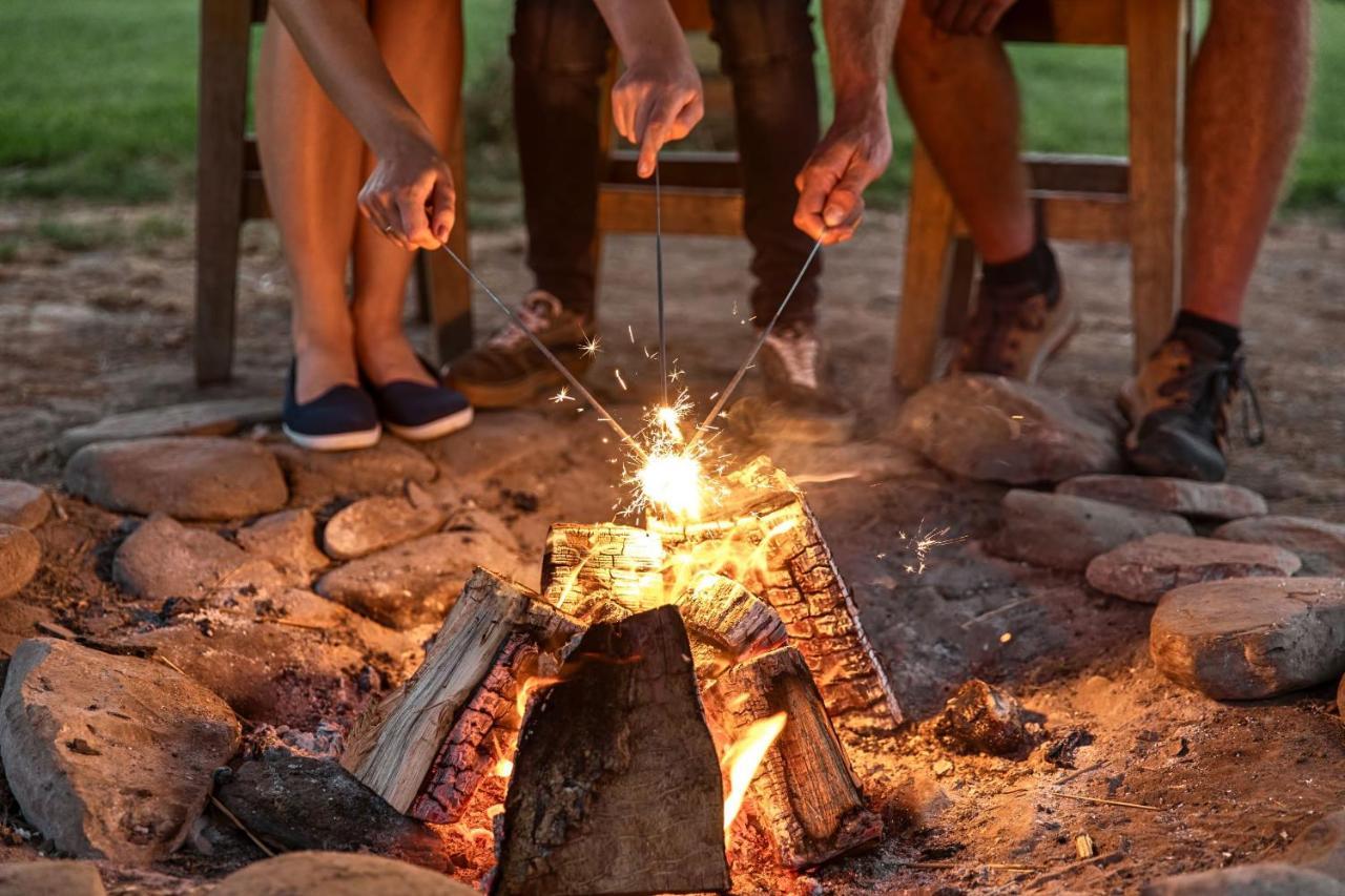 Horsley Hale Farm Glamping 호텔 엘리 외부 사진