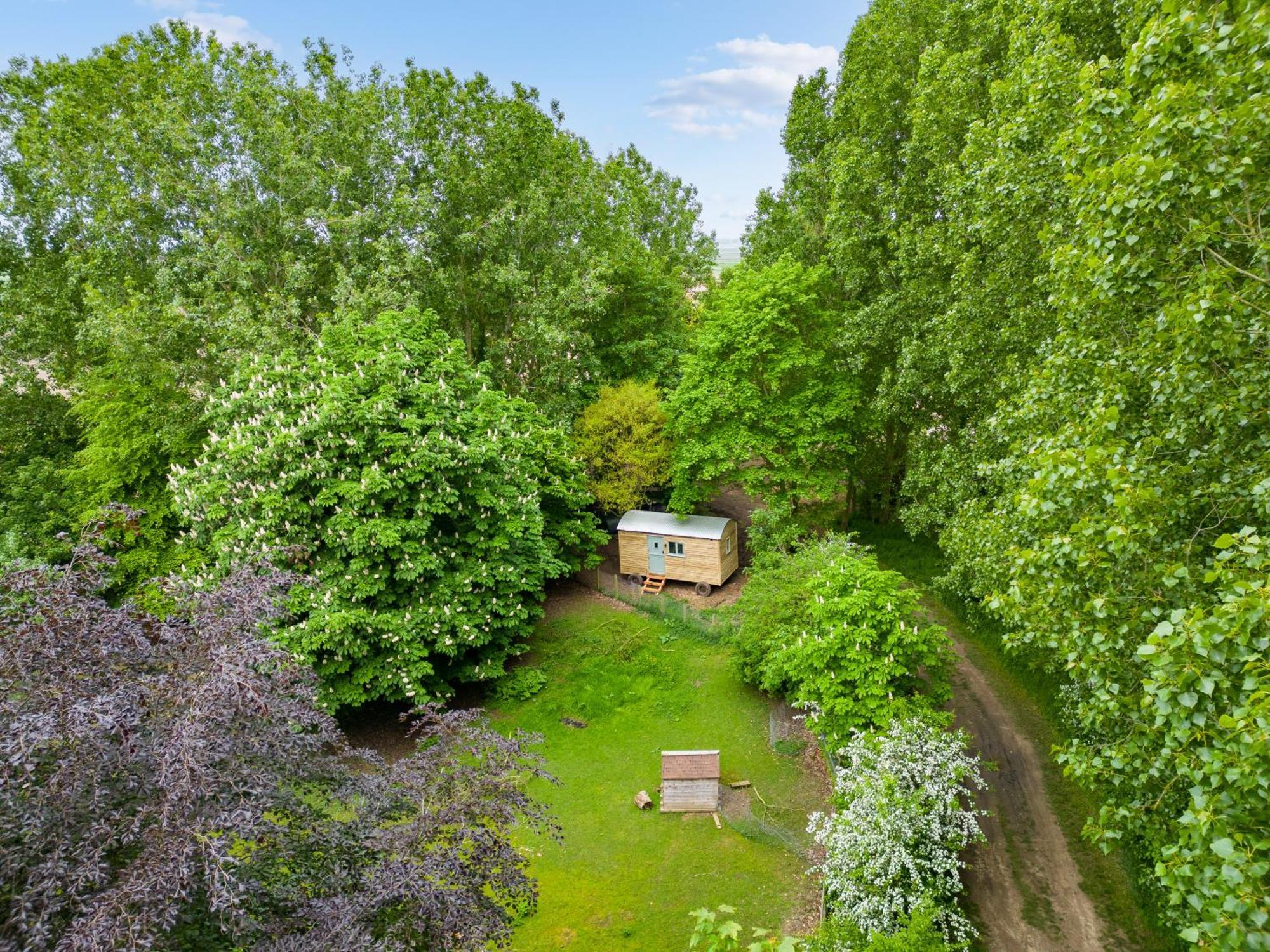 Horsley Hale Farm Glamping 호텔 엘리 외부 사진