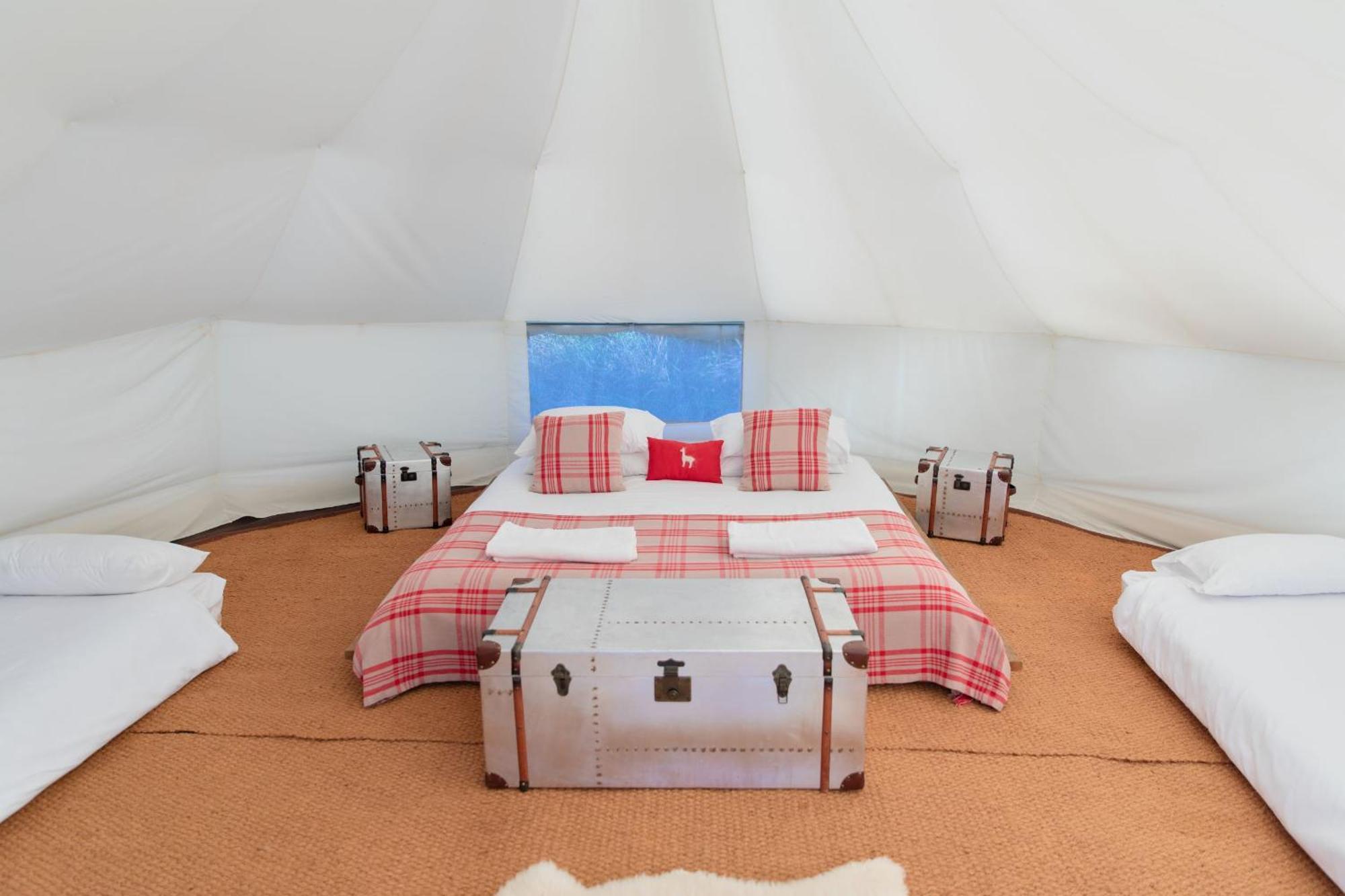 Horsley Hale Farm Glamping 호텔 엘리 객실 사진