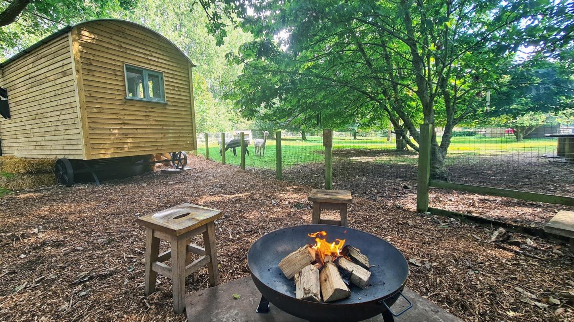 Horsley Hale Farm Glamping 호텔 엘리 객실 사진